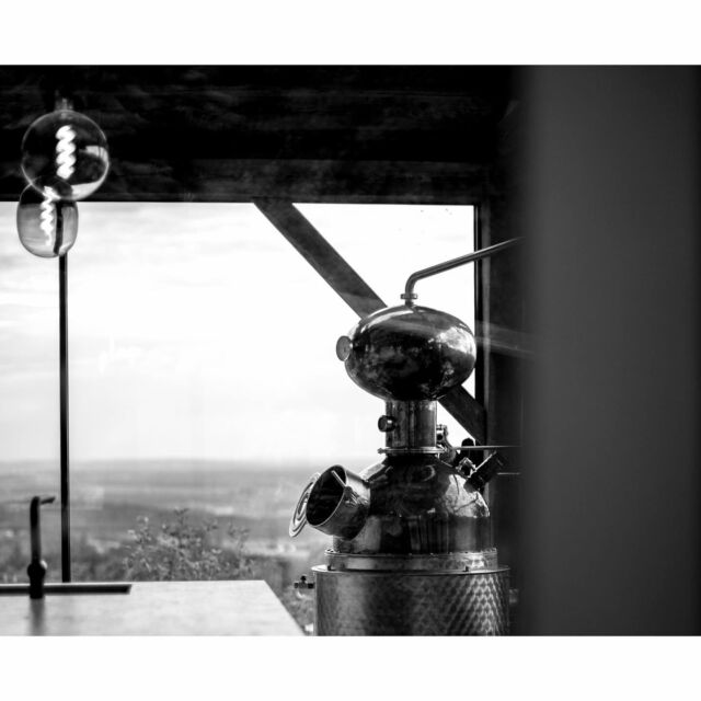 Cozy November weather, the perfect time for distilling 🖤.....#stingin #stin #stindistillery #southstyria #eaststyria #stindistillerysouth #stindistilleryeast #gin #styriangin #distillery #distilling #thestingin